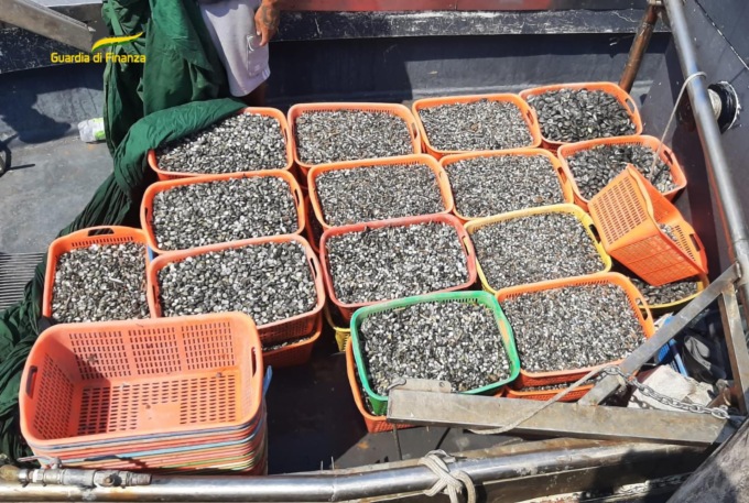 Chioggia, sequestrati 1.225 chili di vongole veraci e un deposito irregolare