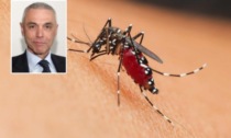 West Nile, lo sfogo di Palù: "Il vaccino c'è, ma non viene prodotto dalle case farmaceutiche"