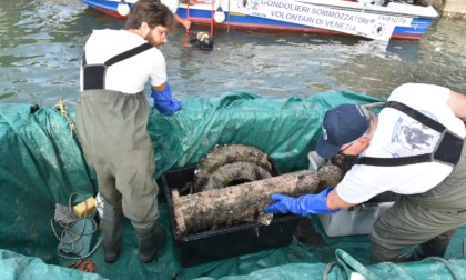 Nuova immersione nei canali di Venezia: gondolieri sub recuperano 300 chili di rifiuti