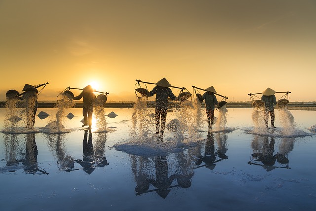 Organizzare un viaggio in Vietnam: perché scegliere una vacanza di gruppo