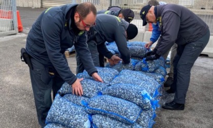 Pesca abusiva di vongole in Laguna: fermati quattro pescherecci carichi di molluschi