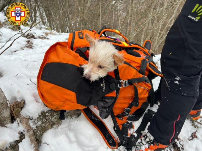 Perdono l’orientamento e restano bloccati nella neve: salvata coppia veneziana stremata