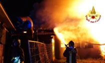 Inferno di fuoco a Campolongo Maggiore, video e foto del capannone agricolo divorato dalle fiamme