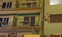 Il video del misterioso uomo nudo (acrobata) che si arrampica sui palazzi