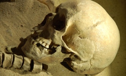 Macabra scoperta a Marghera: da un campo spuntano un teschio e altre ossa umane