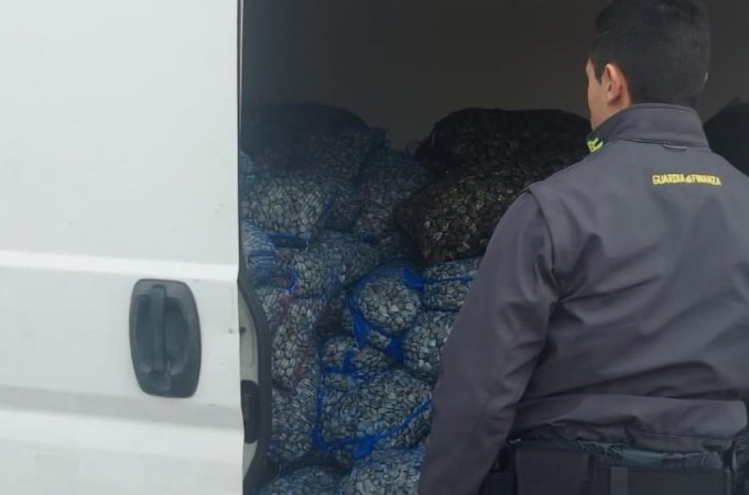 Vongole senza “carta d’identità” sequestrate e poi gettate in mare dalla Finanza