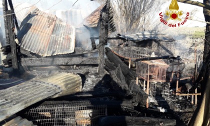 Fiamme alte in un ricovero di mezzi agricoli: paura a San Donà di Piave