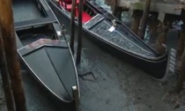 Bassa marea a Venezia: le immagini dei canali in secca fanno il giro del mondo