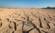 Il dramma della siccità in Veneto: Zaia annuncia l'ordinanza anti-sprechi