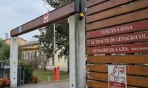 Tragedia sul lavoro ad Annone Veneto: operaio muore cadendo da un'impalcatura