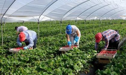 Migranti, click day: su 10mila richieste solo 4mila soddisfatte in Veneto