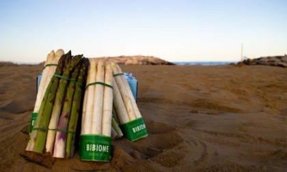 Bibione e il suo lato gourmet: pronti a celebrare l'asparago bianco
