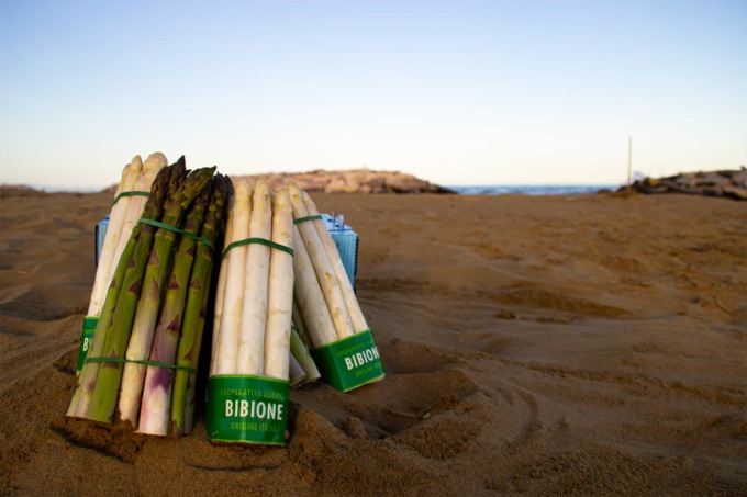 Bibione e il suo lato gourmet: pronti a celebrare l’asparago bianco