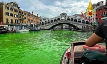 Chi ha colorato il Canal Grande di verde rischia una multa di "ben" 206 euro