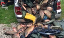 Scosse elettriche per pescare: i bracconieri devastavano l'ecosistema e torturavano gli animali