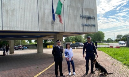 Libri, aule, studenti e... marijuana: il fiuto infallibile di Corina guida gli agenti verso la droga