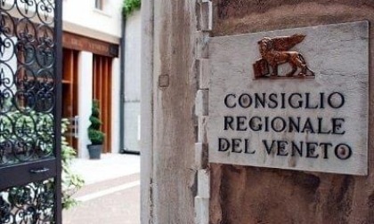 Consiglio regionale Veneto contro il cibo sintetico, il Pd si astiene
