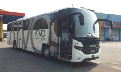 Anziano a terra lungo la strada: l'autista eroe ferma il bus per soccorrerlo