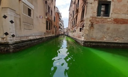 Canal Grande verde fluo: spunta l'ipotesi di un goffo operaio