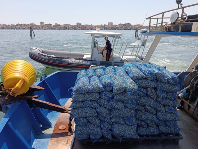 Chioggia, carabinieri sequestrano due tonnellate di vongole
