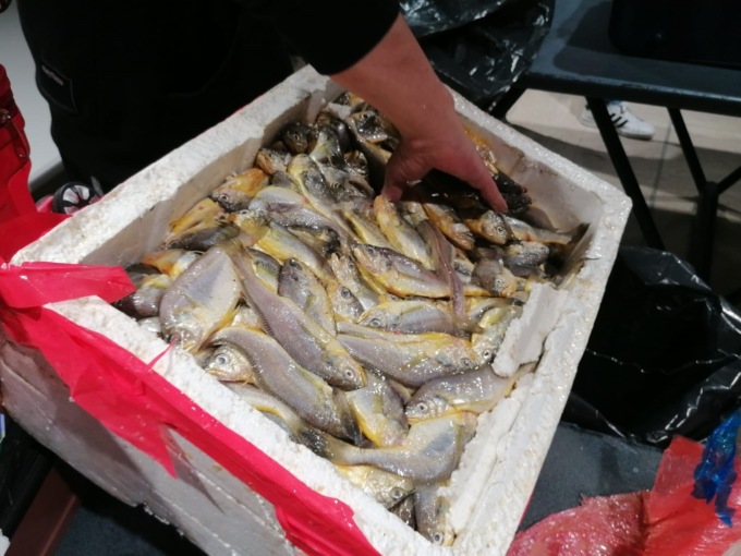 100 kg di pesce avariato in valigia: passeggero cinese fermato all’aeroporto