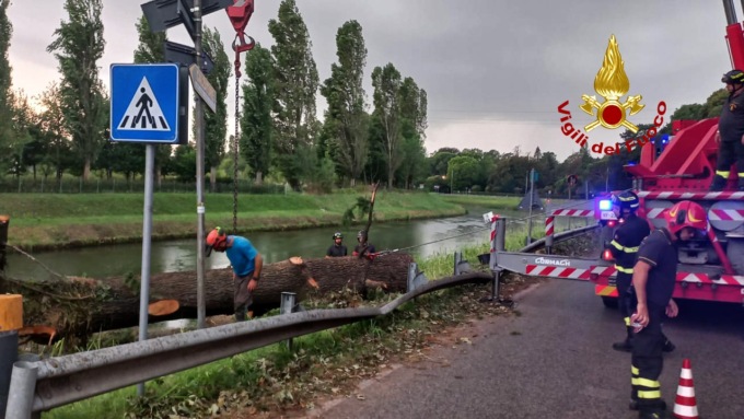 Maltempo, ci risiamo! Altro violento temporale, numerosi alberi caduti: Marghera e Jesolo contano i danni