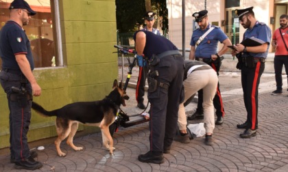 Il fiuto di Corina non sbaglia mai: trovati 100 grammi di droga in strada