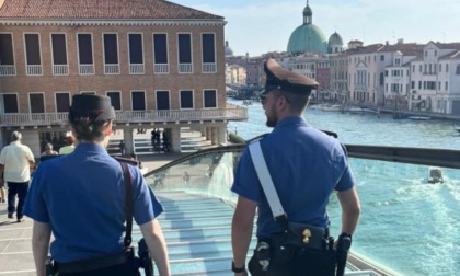 Borseggiatrice tenta di ingannare i Carabinieri nascondendo un portafogli (rubato) nel reggiseno