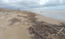 Le immagini della violenta mareggiata che ha devastato le spiagge di Jesolo