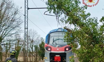 Maltempo a Salzano: albero si abbatte sulla linea Venezia-Bassano, nessun ferito