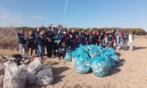 Premiati quattro comuni Plastic Free in provincia di Venezia