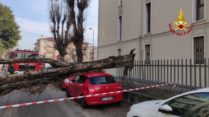 Mestre, grosso albero si spezza e piomba sulle auto parcheggiate