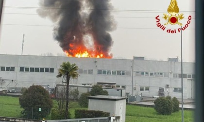 Maxi incendio al capannone della Maga Foodlab, più di 30 vigili del fuoco in azione per spegnere il rogo