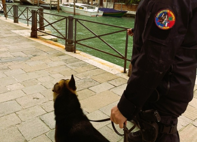 20enne si reca a scuola nascondendo nello zaino un coltello a scatto