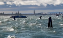 Forti raffiche di vento a Venezia, vaporetto in difficoltà non riesce ad attraccare e alberi caduti in terraferma