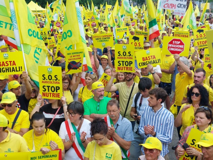 Fauna selvatica, gli agricoltori scendono in piazza a Mestre. Coldiretti: “Gli strumenti attualmente disponibili sono insufficienti”