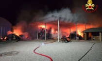 Incendio in un'azienda agricola di Gruaro, a fuoco 700 quintali di balle di fieno