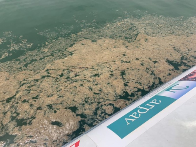 Emergenza mucillagine nel Nord Adriatico: pesca a rischio tra Chioggia e Venezia