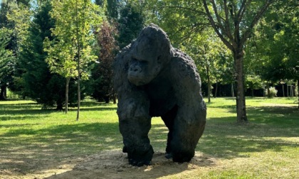 Un gorilla di tre metri nel Parco Internazionale di Scultura creato da Banca Ifis