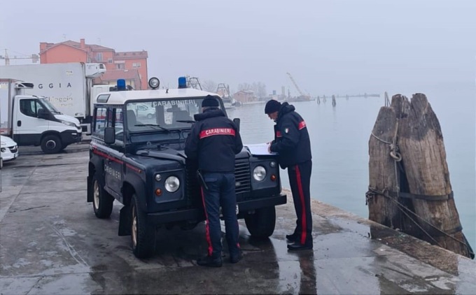 Vongole trasportate irregolarmente, sequestrati 300 chili a Chioggia
