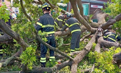 Schianto del leccio in piazzale Roma a Venezia: sempre grave una delle donne ferite