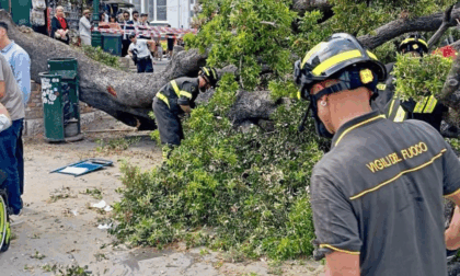 Albero di circa 15 metri crolla in Piazzale Roma: 12 feriti, due gravi
