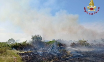 Ancora sterpaglie in fiamme a Fusina, secondo incendio domato dai Vigili del Fuoco
