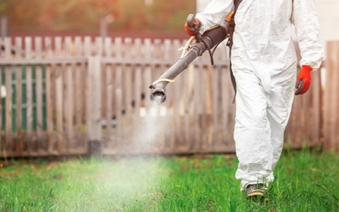 Caso di Dengue a Mestre, scatta la disinfestazione zanzare dalla serata di venerdì 26 settembre 2025