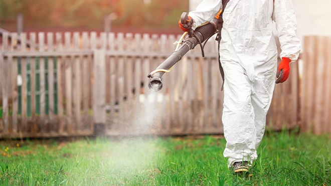 Caso di Dengue a Mestre, scatta la disinfestazione zanzare dalla serata di venerdì 26 settembre 2025