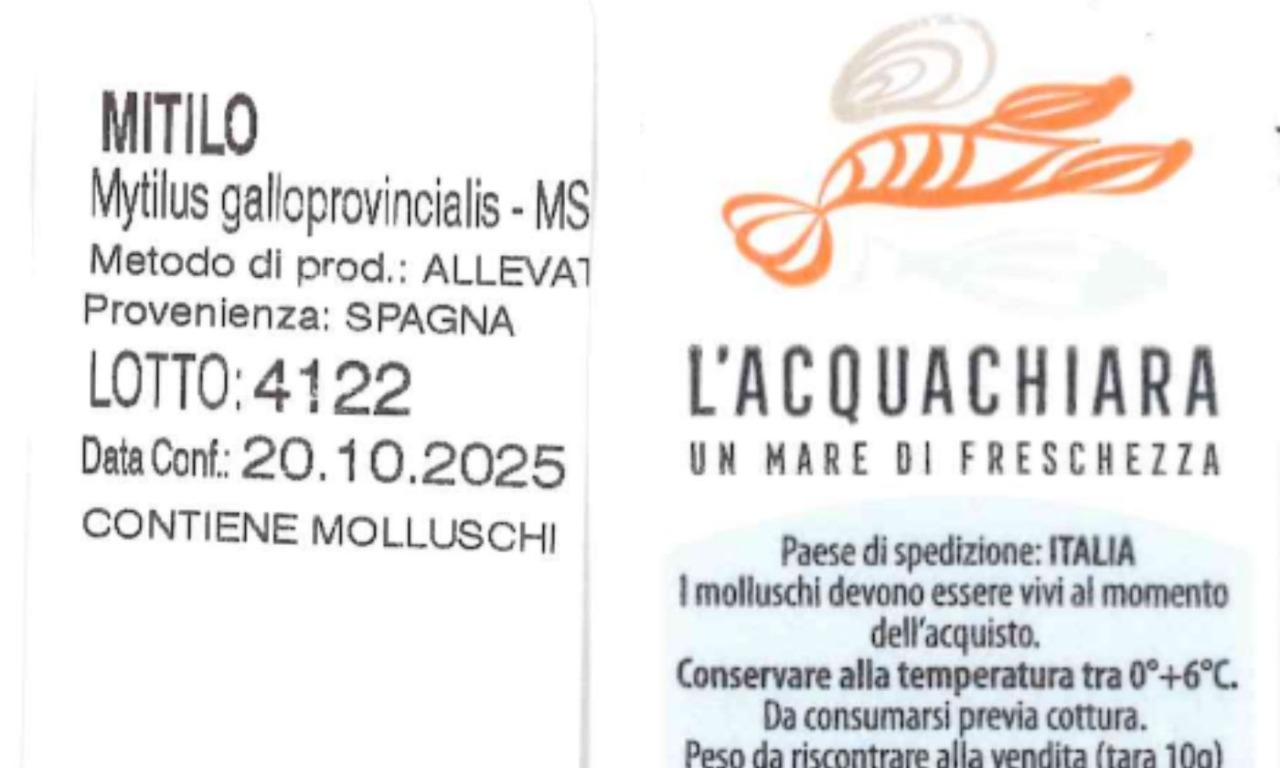 Pericolo salmonella ed escherichia coli nelle cozze prodotte a Chioggia