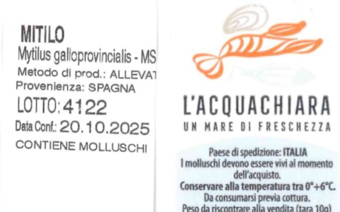 Pericolo salmonella ed escherichia coli nelle cozze prodotte a Chioggia