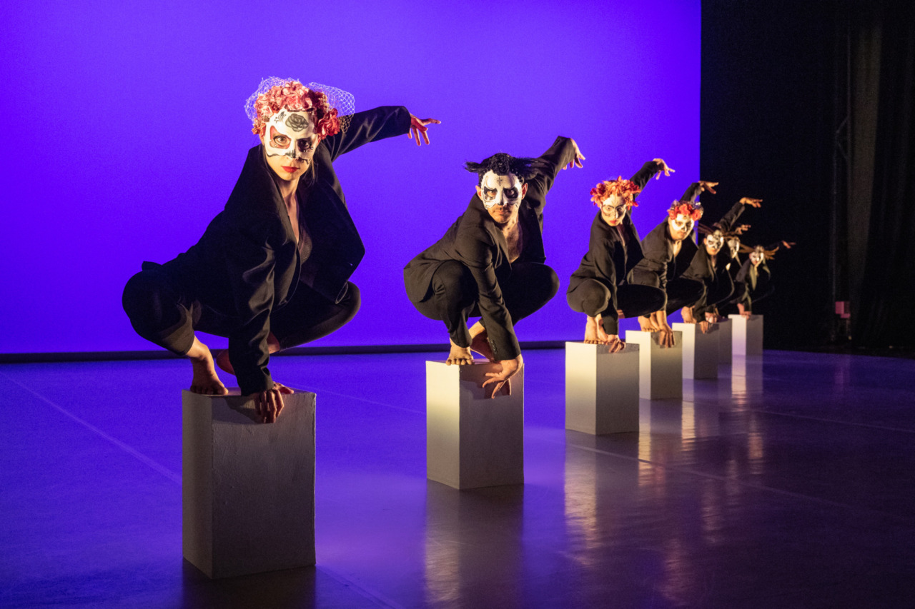 Cosa fare a Venezia e provincia nel weekend: eventi di sabato 8 e domenica 9 novembre 2025