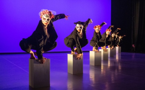 Cosa fare a Venezia e provincia nel weekend: eventi di sabato 8 e domenica 9 novembre 2025