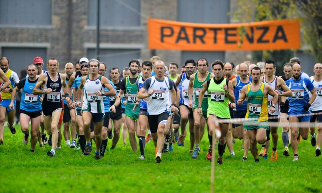 Cosa fare a Venezia e provincia nel weekend: eventi di sabato 15 e domenica 16 novembre 2025